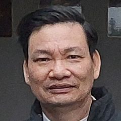 p16875.jpg
